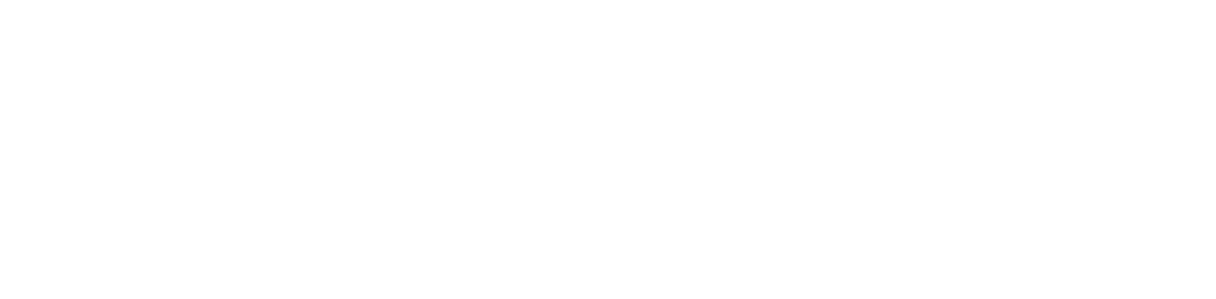 INIsec